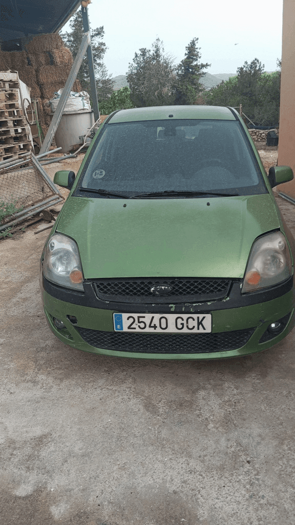 2008 Ford Fiesta
