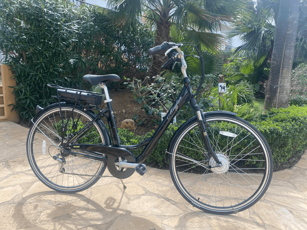 Electric Bike