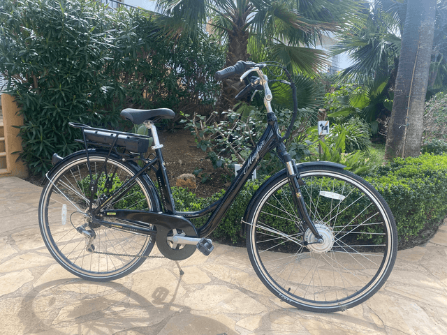 Electric Bike