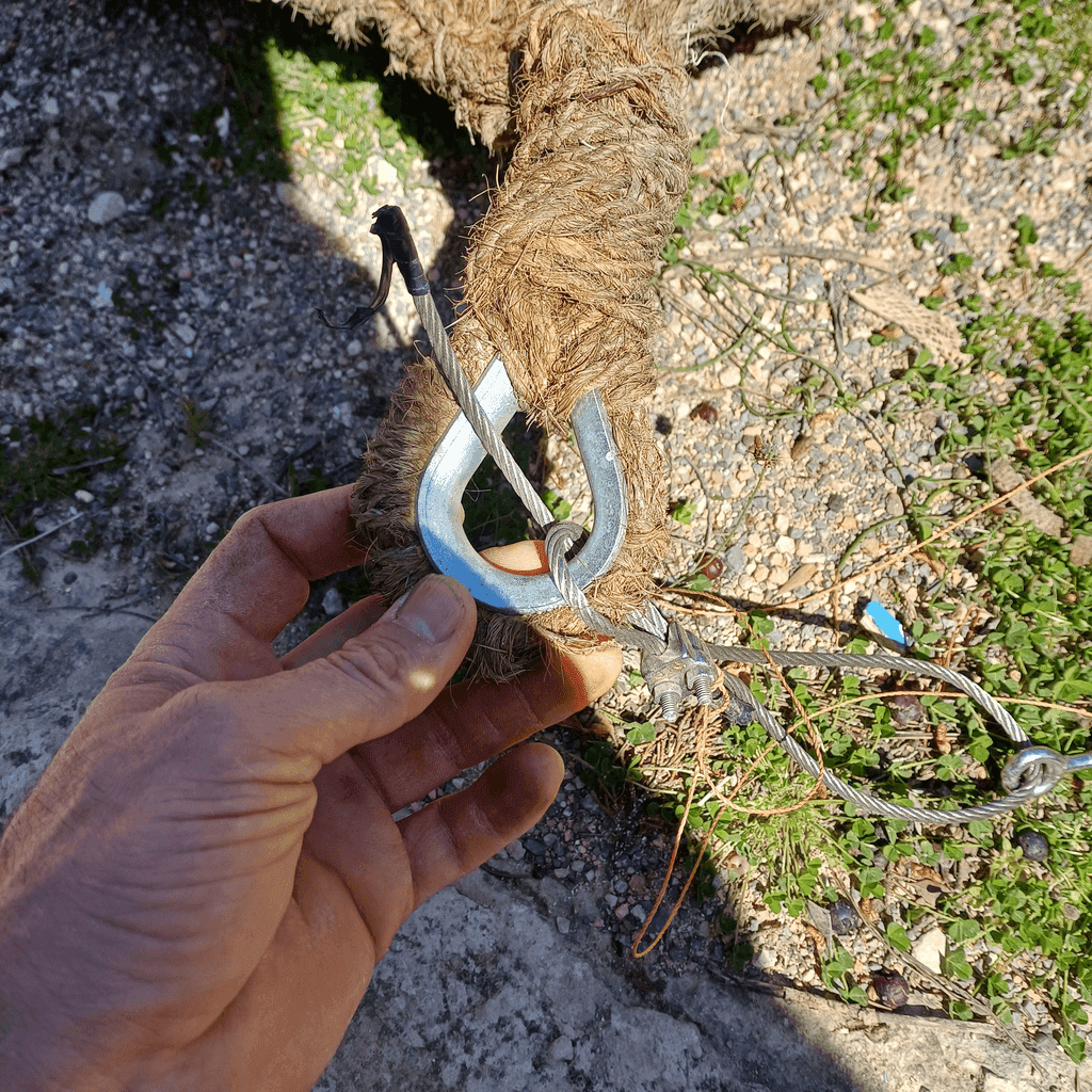b7550d53-08bb-4dbd-8ac9-ecdfef245727.png