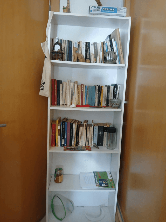 2 white bookshelves