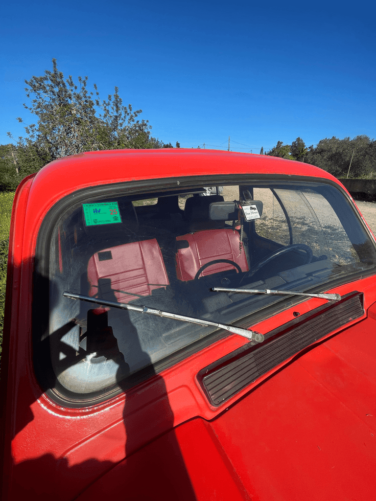 RENAULT 4 GTL CLAN