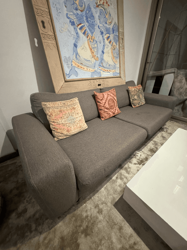Grey Couch Sofa